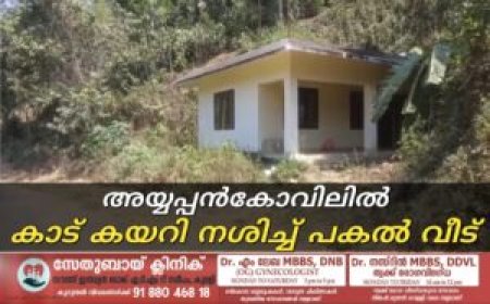അയ്യപ്പന്‍കോവിലില്‍ കാട് കയറി നശിച്ച് പകല്‍ വീട്