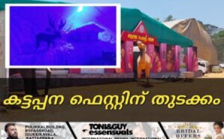 കട്ടപ്പന ഫെസ്റ്റിന് തുടക്കം