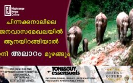 ചിന്നക്കനാലിലെ ജനവാസമേഖലയില്‍ ആനയിറങ്ങിയാല്‍ ഇനി അലാറം മുഴങ്ങും