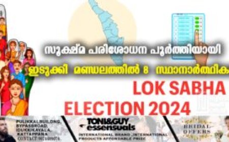 സൂക്ഷ്മ പരിശോധന പൂര്‍ത്തിയായി : ഇടുക്കി മണ്ഡലത്തില്‍ 8 സ്ഥാനാര്‍ത്ഥികള്‍