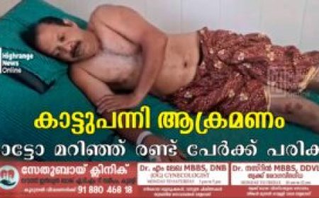 കാട്ടുപന്നി ആക്രമണം: ഓട്ടോ മറിഞ്ഞ് രണ്ട് പേര്‍ക്ക് പരിക്ക്