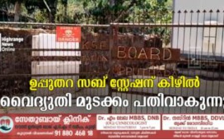 ഉപ്പുതറ സബ് സ്റ്റേഷന് കീഴില്‍ വൈദ്യുതി മുടക്കം പതിവാകുന്നു