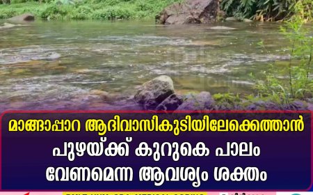 മാങ്ങാപ്പാറ ആദിവാസികുടിയിലേക്കെത്താന്‍ പുഴയ്ക്ക് കുറുകെ പാലം വേണമെന്ന ആവശ്യം ശക്തം 