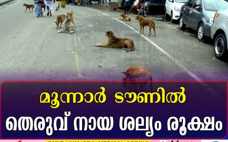 മൂന്നാര്‍ ടൗണില്‍ തെരുവ് നായ ശല്യം രൂക്ഷം 