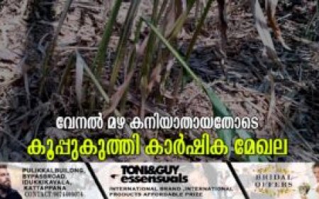 വേനല്‍ മഴ കനിയാതായതോടെ കൂപ്പുകുത്തി കാര്‍ഷിക മേഖല