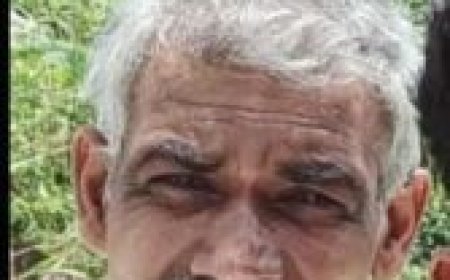 തെങ്ങില്‍ നിന്ന് വീണ് തൊഴിലാളി മരിച്ചു