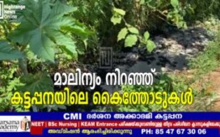 മാലിന്യം നിറഞ്ഞ് കട്ടപ്പനയിലെ കൈത്തോടുകൾ