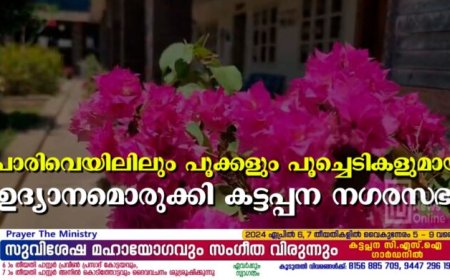 പൊരിവെയിലിലും പൂക്കളും പൂച്ചെടികളുമായി ഉദ്യാനമൊരുക്കി കട്ടപ്പന നഗരസഭ