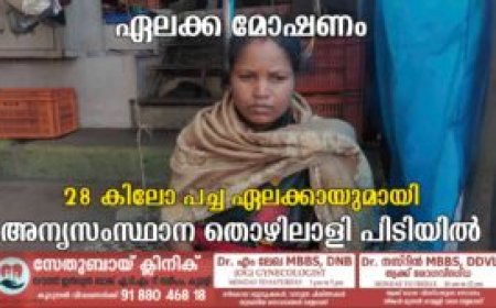 ഏലക്ക മോഷണം: 28 കിലോ പച്ച ഏലക്കായുമായി അന്യസംസ്ഥാന തൊഴിലാളി പിടിയില്‍