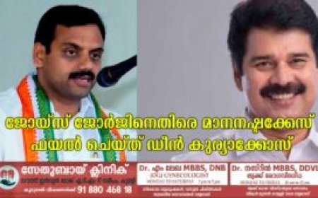 ജോയ്‌സ് ജോര്‍ജിനെതിരെ മാനനഷ്ടക്കേസ് ഫയല്‍ ചെയ്ത് ഡീന്‍ കുര്യാക്കോസ്