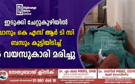 ഇടുക്കി ചേറ്റുകുഴിയിൽ വാനും കെ എസ് ആർ ടി സി ബസും കൂട്ടിയിടിച്ച് 5 വയസുകാരി മരിച്ചു