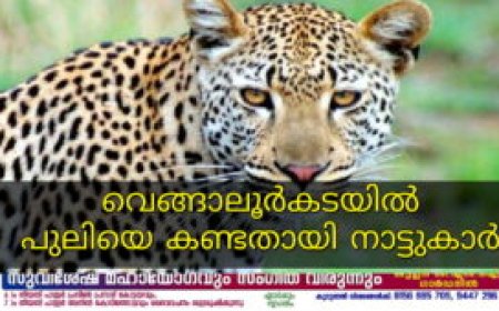 വെങ്ങാലൂര്‍ക്കടയില്‍ പുലിയിറങ്ങിയതായി സംശയം: വനപാലകര്‍ പരിശോധന നടത്തി