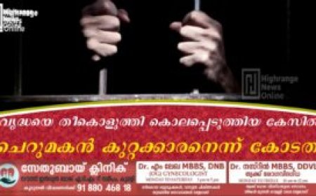 വൃദ്ധയെ തീകൊളുത്തി കൊലപ്പെടുത്തിയ കേസില്‍ ചെറുമകന്‍ കുറ്റക്കാരനെന്ന് കോടതി