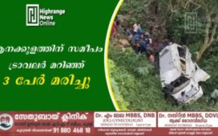 ആനക്കുളത്തിന് സമീപം ട്രാവലര്‍ മറിഞ്ഞ് 3 പേര്‍ മരിച്ചു