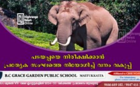 പടയപ്പയെ നിരീക്ഷിക്കാന്‍ പ്രത്യേക സംഘത്തെ നിയോഗിച്ച് വനം വകുപ്പ്