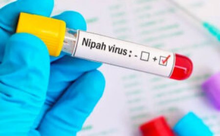 നിപ; ഹൈ റിസ്ക് വിഭാഗത്തിൽ പെട്ട ആളുകളുടെ പരിശോധന ഫലം ഇന്ന്; ഇതുവരെ 6 പോസിറ്റീവ് കേസുകൾ