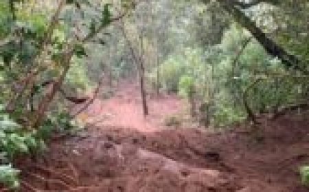 ഉരുൾപൊട്ടൽ മേഖലയിൽ കളക്ടറുടെ ഇടപെടൽ