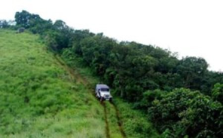 കേരളം രൂപം കൊണ്ടിട്ട് അറുപത്തിയേഴ് വർഷങ്ങള്‍ പിന്നിട്ടിട്ടും ഇനിയും പട്ടയം കിട്ടാതെ ഇടുക്കി ജില്ലയിലെ കർഷകർ.