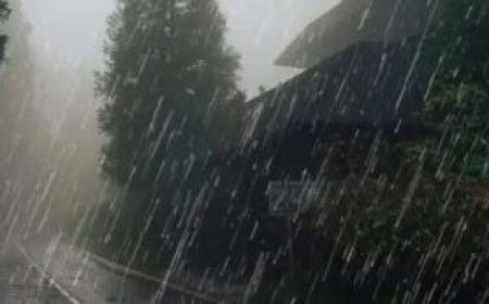 ഇടുക്കി ശാന്തൻപാറ പേത്തൊട്ടിയിൽ ഉരുൾപൊട്ടലെന്നു സംശയം : രണ്ടു വീടുകൾക്ക് കേടുപാട്