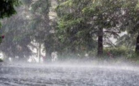 ജില്ലയിൽ വ്യാഴാഴ്ച വരെ യെല്ലോ അലേർട്ട്: മുന്നൊരുക്കങ്ങളുമായി ജില്ലാ ഭരണകൂടം
