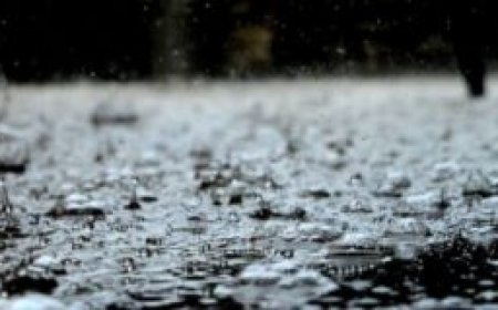 കേരളത്തിൽ 5 ദിവസം ഇടിമിന്നലോട് കൂടിയ മഴയ്ക്ക് സാധ്യത .            ഇടുക്കി ഉൾപ്പെടെ രണ്ട് ജില്ലകളിൽ മഞ്ഞ അലെർട്