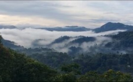 ഭൂമിയാംകുളം സ്റ്റേഡിയംപാറ വ്യൂ പോയിന്റില്‍ കാഴ്ചകളേറെ:  അടിസ്ഥാന സൗകര്യമൊരുക്കണമെന്ന് നാട്ടുകാര്‍