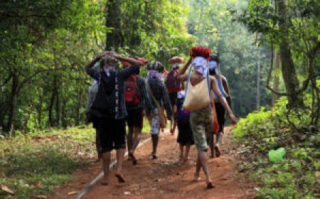അയ്യപ്പഭക്തർക്കുള്ള സംവിധാനങ്ങൾ പൂർത്തീകരിക്കാതെ പഞ്ചായത്തും റവന്യൂ ഡിപ്പാർട്ട്മെന്റും