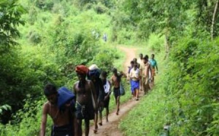 അയ്യപ്പന്‍മാര്‍ കാനനപാതയിലൂടെ  സന്നിധാനത്തേയ്ക്ക്