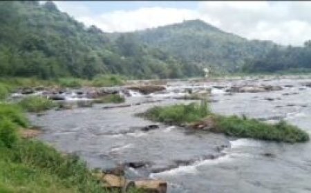 പെരിയാറ്റിൽ മീൻ പിടിക്കാൻ ഇറങ്ങിയ ആളെ കാണ്മാനില്ല