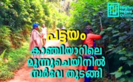 പട്ടയം: കാഞ്ചിയാറിലെ മൂന്നുചെയിനില് സര്വേ തുടങ്ങി