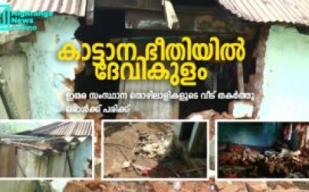 ദേവികുളത്തെ ജനവാസ കേന്ദ്രങ്ങളില്‍  കാട്ടാനക്കൂട്ടത്തിന്റെ ആക്രമണം