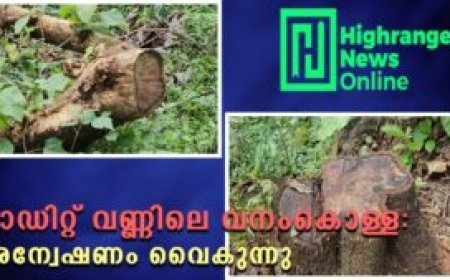 ഓഡിറ്റ് വണ്ണിലെ വനംകൊള്ള:  അന്വേഷണം വൈകുന്നു
