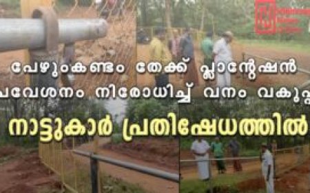 പേഴുംകണ്ടം തേക്ക് പ്ലാന്റേഷന്‍   പ്രവേശനം നിരോധിച്ച് വനം വകുപ്പ്: നാട്ടുകാര്‍ പ്രതിഷേധത്തില്‍