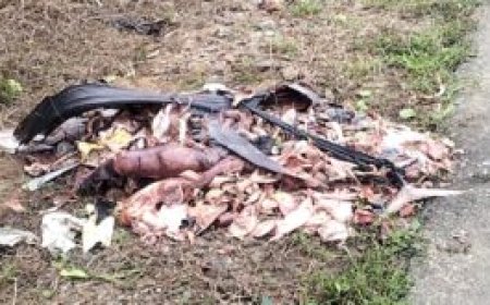 മലയോര ഹൈവേ വശങ്ങള്‍ മലീമസം