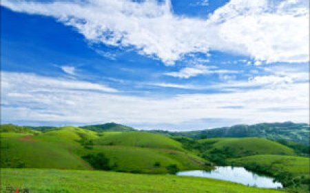 വാഗമണ്ണിലേക്ക് സഞ്ചാരികളുടെ  കുത്തൊഴുക്ക്