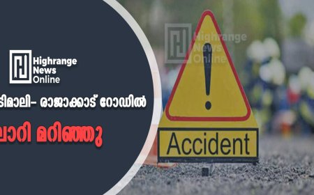 അടിമാലി- രാജാക്കാട് റോഡില്  ലോറി മറിഞ്ഞു