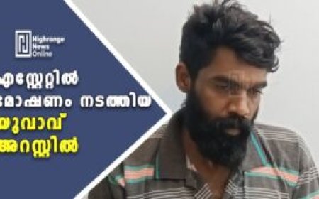 എസ്റ്റേറ്റിൽ മോഷണം  നടത്തിയ  യുവാവ് അറസ്റ്റിൽ