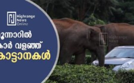 മൂന്നാറിൽ കാർ   വളഞ്ഞ് കാട്ടാനകൾ