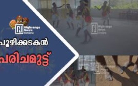 പൂഴിക്കടകൻ പരിചമുട്ട്