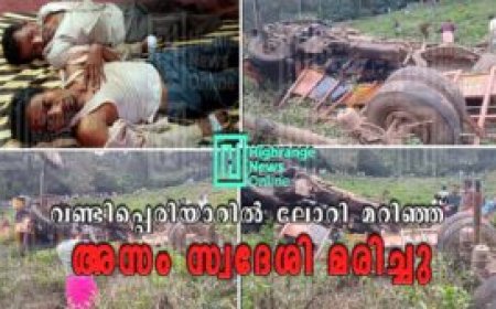 വണ്ടിപ്പെരിയാറില്‍ ലോറി മറിഞ്ഞ് അസം സ്വദേശി മരിച്ചു