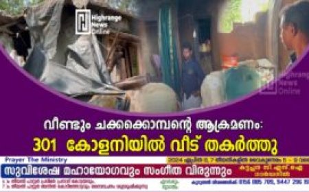 വീണ്ടും ചക്കക്കൊമ്പന്റെ ആക്രമണം: 301 കോളനിയില്‍ വീട് തകര്‍ത്തു