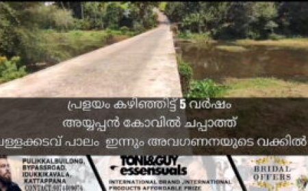 പ്രളയം കഴിഞ്ഞിട്ട് 5 വർഷം അയ്യപ്പൻ കോവിൽ ചപ്പാത്ത് വള്ളക്കടവ് പാലം ഇന്നും അവഗണനയുടെ വക്കിൽ