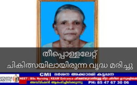 തീപ്പൊള്ളലേറ്റ് ചികിത്സയിലായിരുന്ന വൃദ്ധ മരിച്ചു