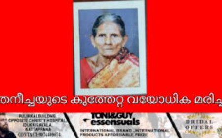 തേനീച്ചയുടെ കുത്തേറ്റ വയോധിക മരിച്ചു