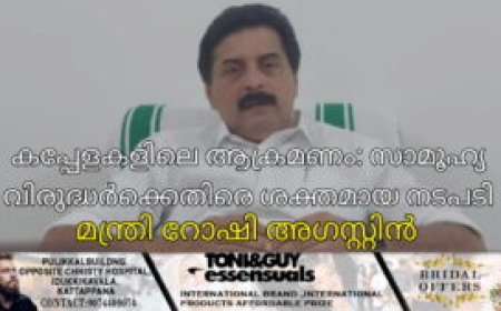 കപ്പേളകളിലെ ആക്രമണം: സാമൂഹ്യ വിരുദ്ധര്‍ക്കെതിരെ ശക്തമായ നടപടി:  മന്ത്രി റോഷി അഗസ്റ്റിന്‍