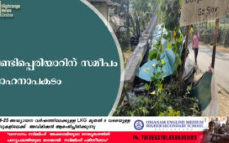 വണ്ടിപ്പെരിയാറിന് സമീപം വാഹനാപകടം