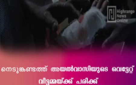 നെടുങ്കണ്ടത്ത് അയൽവാസിയുടെ വെട്ടേറ്റ് വീട്ടമ്മയ്ക്ക് പരിക്ക്