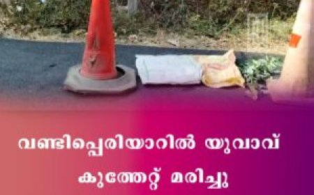 വണ്ടിപ്പെരിയാറിൽ യുവാവ് കുത്തേറ്റ് മരിച്ചു