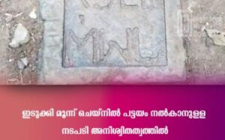 ഇടുക്കി മൂന്ന് ചെയ്‌നില്‍ പട്ടയം നല്‍കാനുള്ള നടപടി അനിശ്വിതത്വത്തില്‍