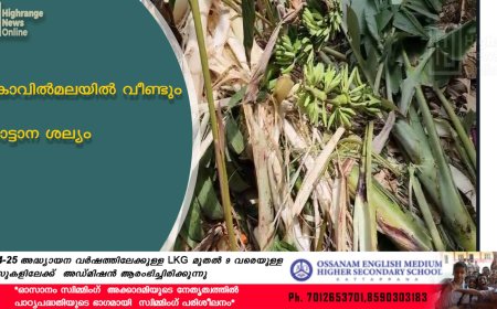 കോവില്‍മലയില്‍ വീണ്ടും കാട്ടാന ശല്യം